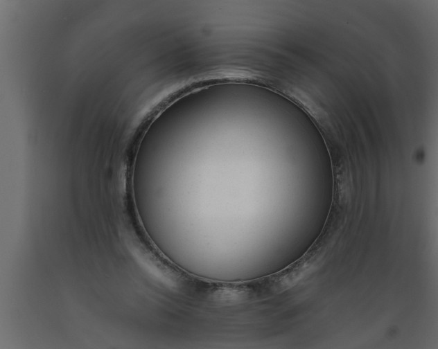 X0000089450350200707061247