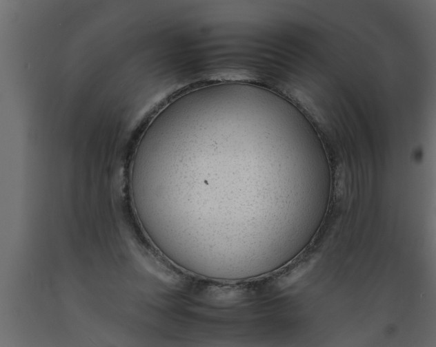 X0000089450351200707061247