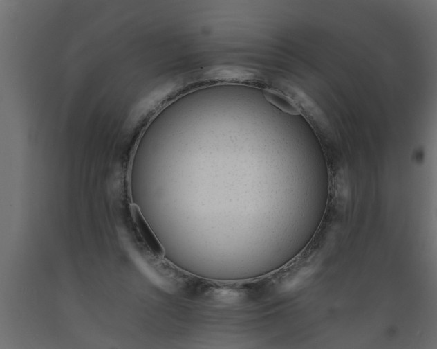 X0000089450352200707061247