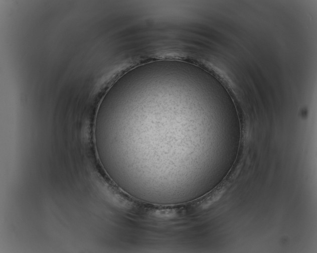 X0000089450353200707061247