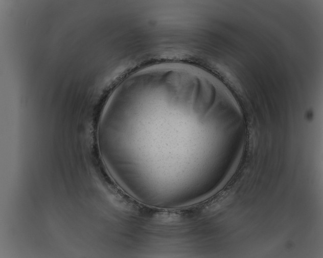 X0000089450354200707061247