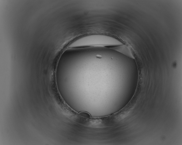 X0000089450355200707061247