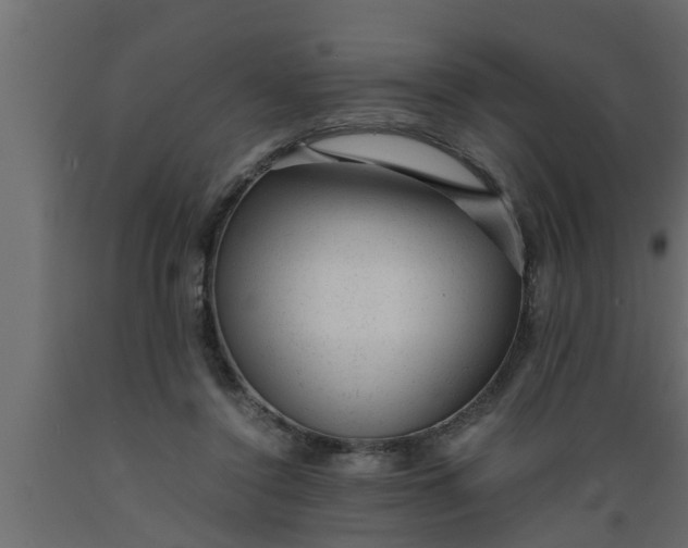 X0000089450356200707061247