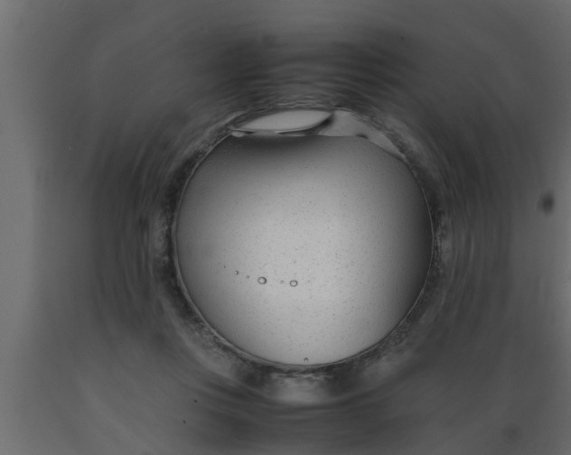 X0000089450359200707061247