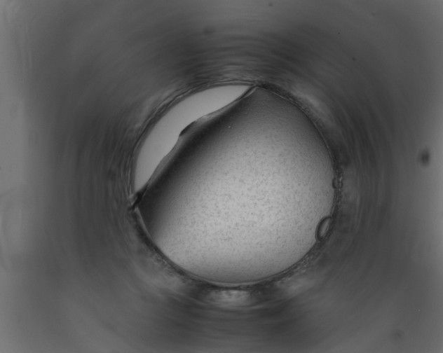 X0000089450361200707061247