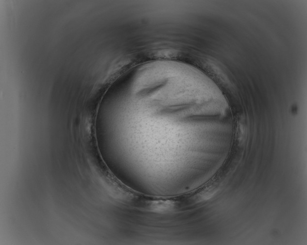 X0000089450363200707061247