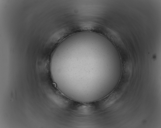 X0000089450364200707061247