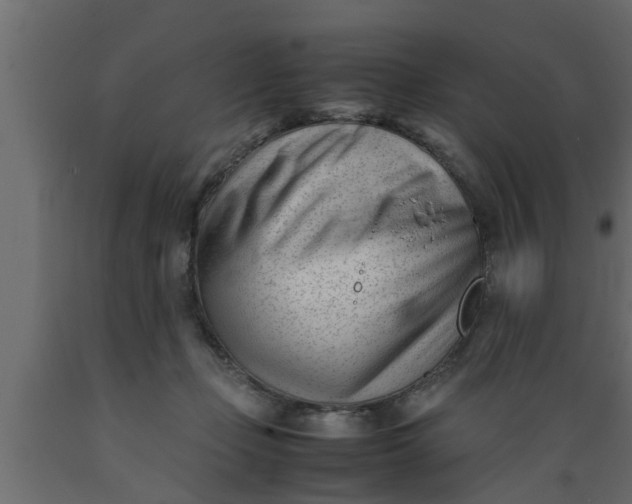 X0000089450365200707061247