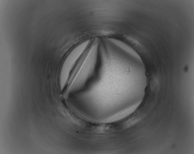 X0000089450366200707061247