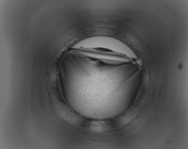 X0000089450367200707061247