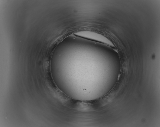 X0000089450372200707061247