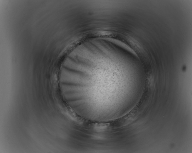 X0000089450373200707061247