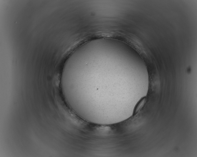 X0000089450374200707061247