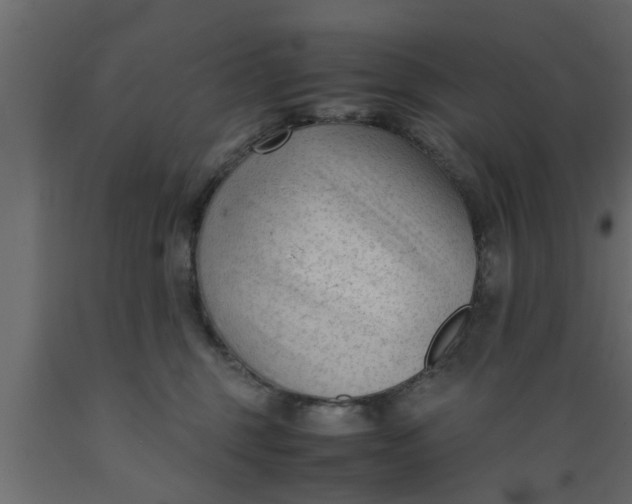 X0000089450375200707061247