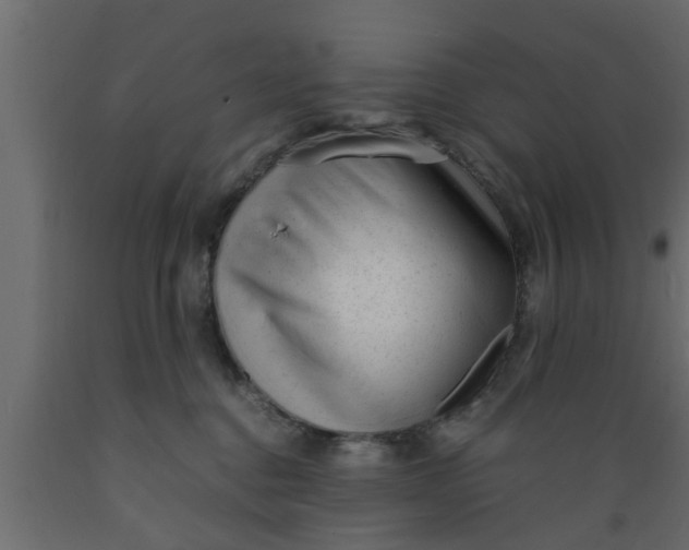 X0000089450376200707061247