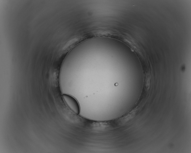 X0000089450378200707061247