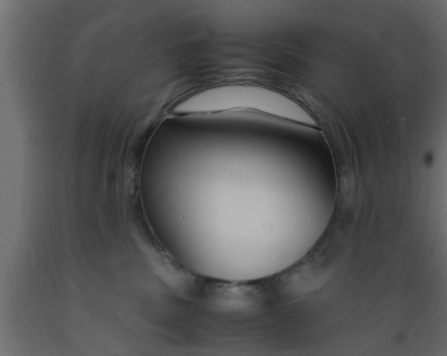 X0000089450379200707061247