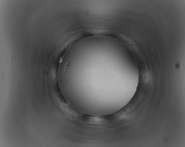 X0000089450380200707061247