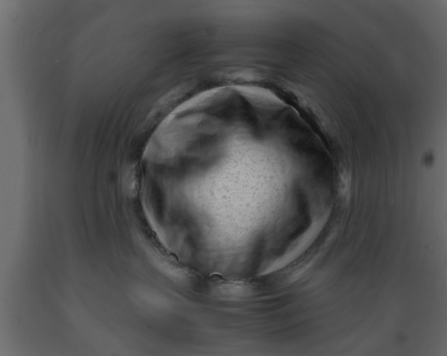 X0000089450383200707061247