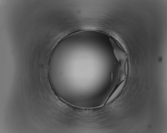 X0000089450385200707061247