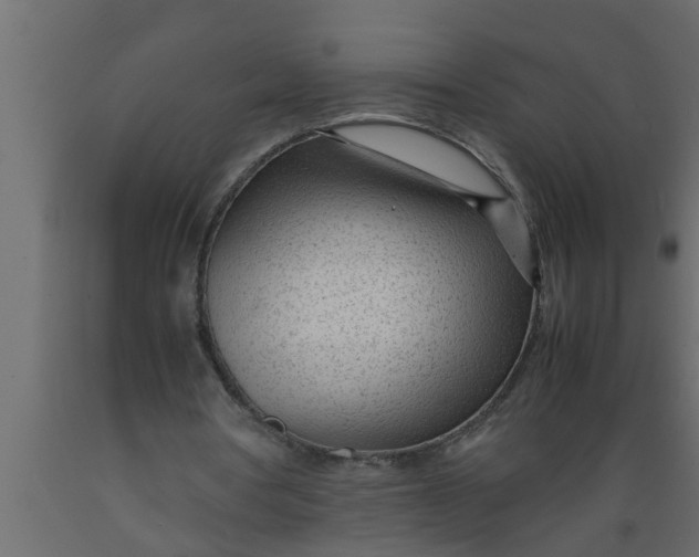 X0000089450386200707061247