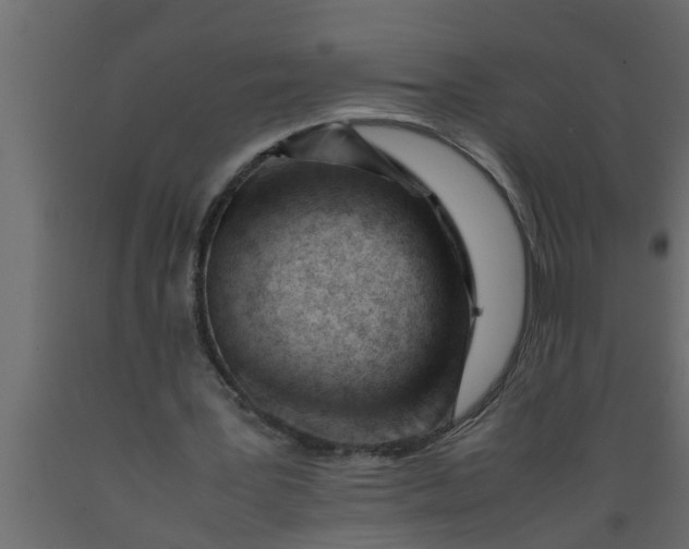 X0000089450387200707061247