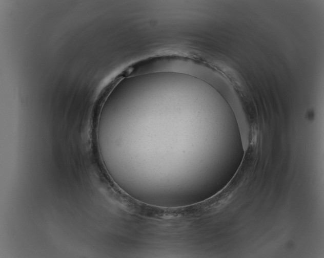 X0000089450388200707061247