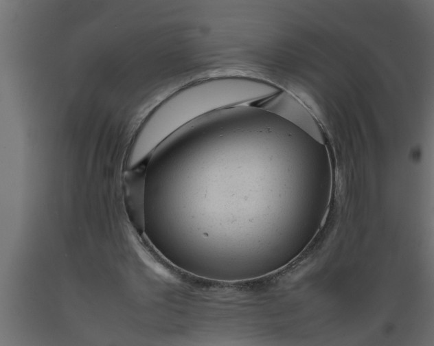 X0000089450389200707061247