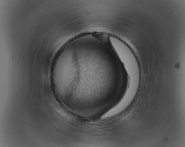 X0000089450391200707061247