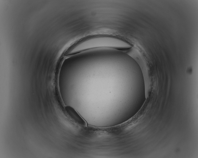 X0000089450392200707061247