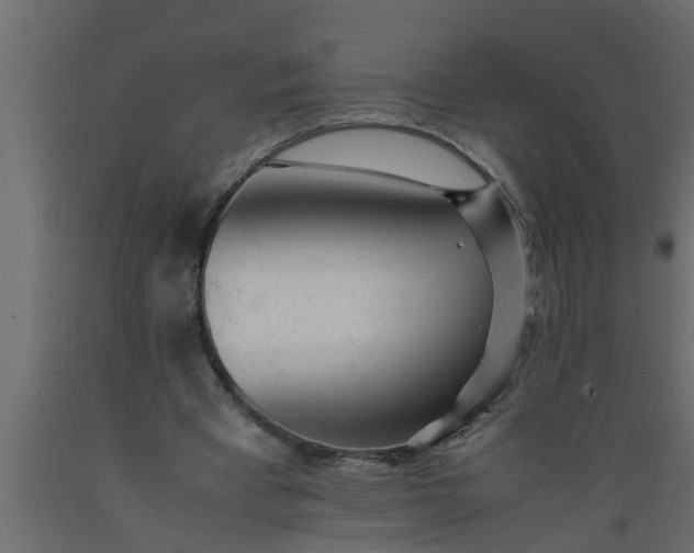 X0000089450393200707061247