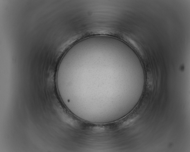 X0000089450394200707061247