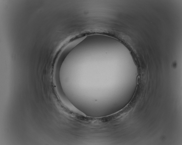 X0000089450395200707061246