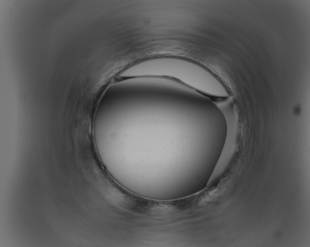 X0000089450397200707061246