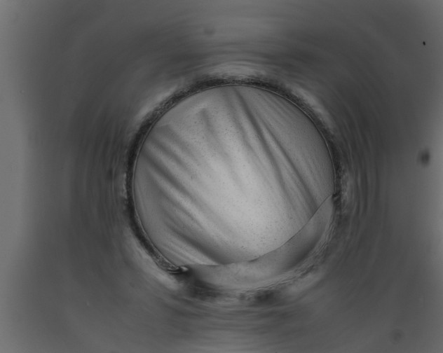 X0000089450399200707061246