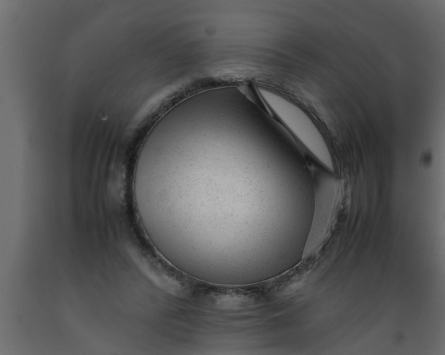 X0000089450400200707061246