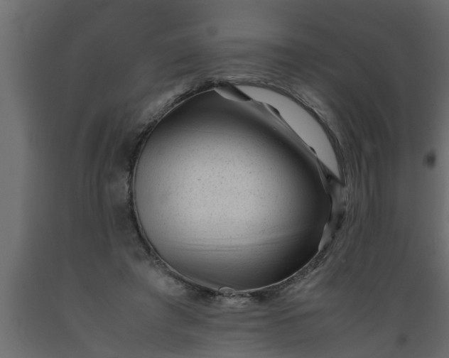 X0000089450401200707061246