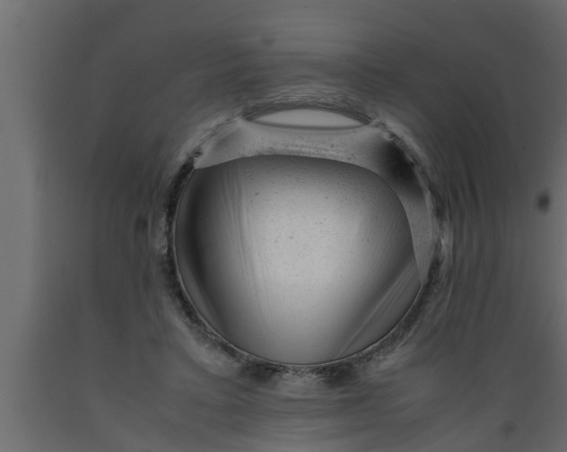 X0000089450403200707061246