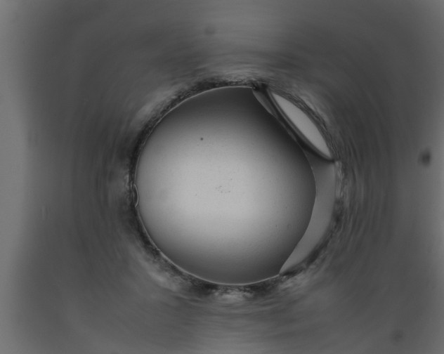 X0000089450407200707061246