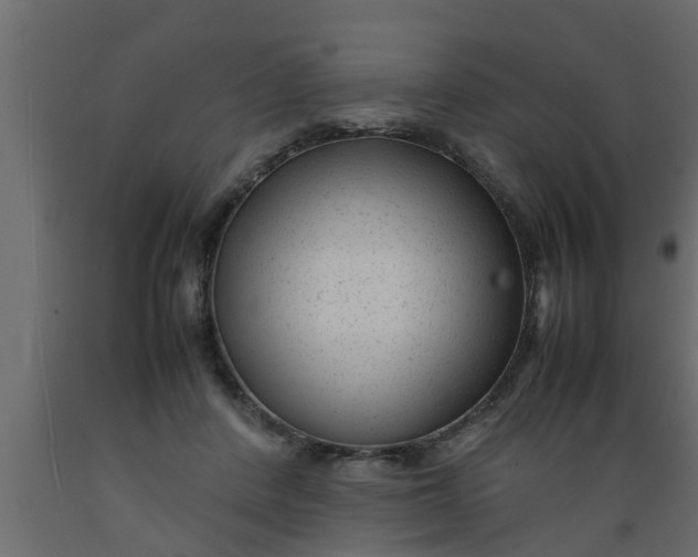 X0000089450408200707061246