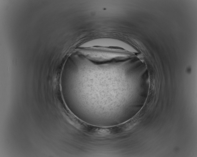 X0000089450409200707061246