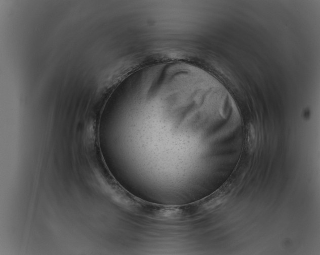 X0000089450410200707061246