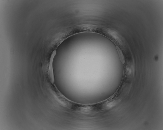 X0000089450411200707061246