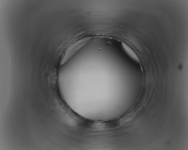 X0000089450413200707061246