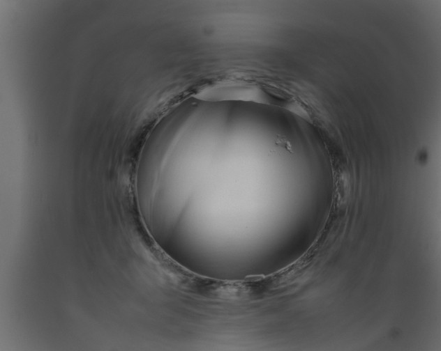 X0000089450415200707061246