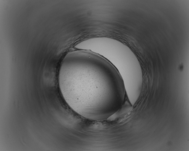 X0000089450416200707061246