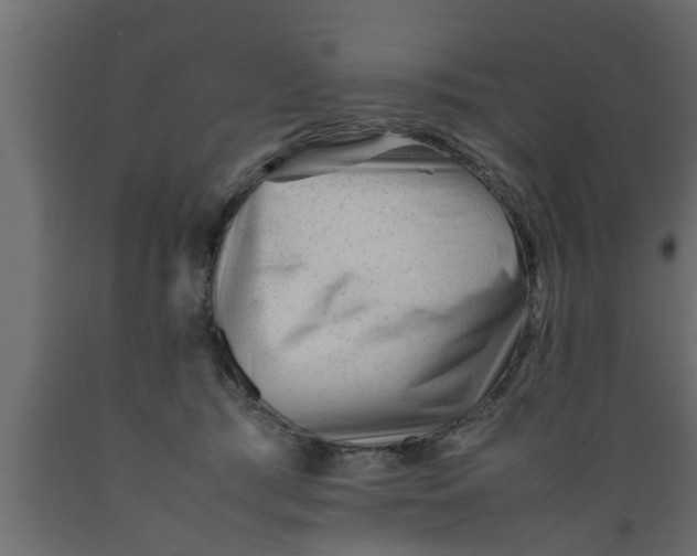 X0000089450417200707061246