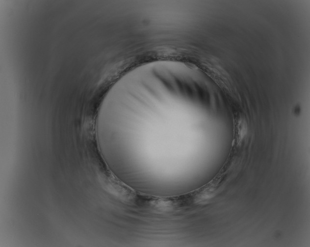 X0000089450419200707061246