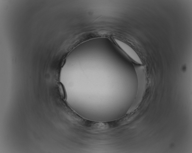 X0000089450421200707061246