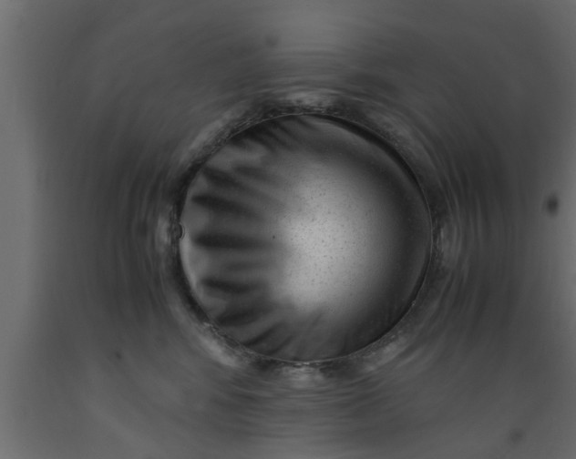 X0000089450424200707061246